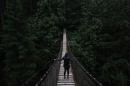 人,黑暗,橋