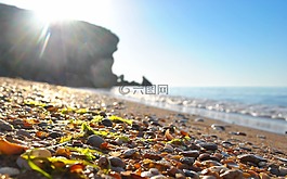 海灘,海,性質(zhì)