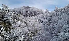 漢拿山和雪nambyeok,nambyeok冰雪覆蓋的山。,山雪盛宴