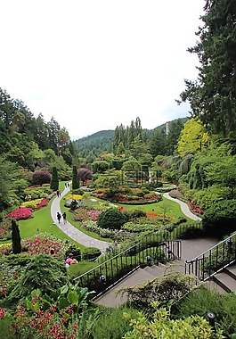 花園,景觀,大自然