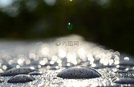 散景,水滴,特寫