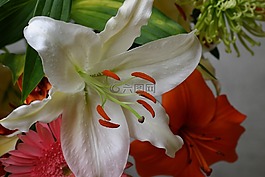 鮮花,花束,關(guān)閉了