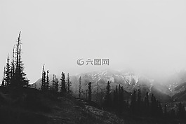 自然,景觀,山
