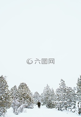雪,冬天,白