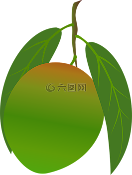芒果,水果,食品