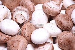 真菌,蘑菇,cremini