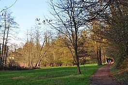 公園,性質(zhì),戶(hù)外活動(dòng)