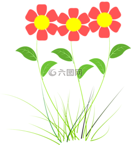花,粉红色,植物