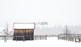 小屋,棚,木