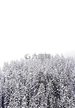 雪,冬天,白
