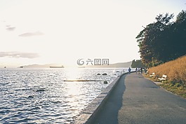 走道,水,路徑