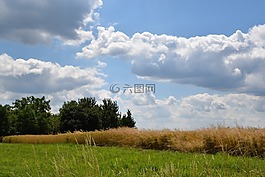 云,夏天,字段