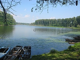 蒂萨,水,湖