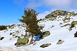 埃什特雷拉山脈,雪,冬季