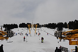 雪,滑雪,冬天
