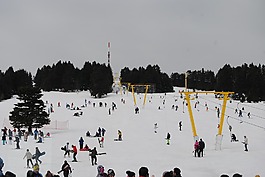 雪,滑雪,冬天