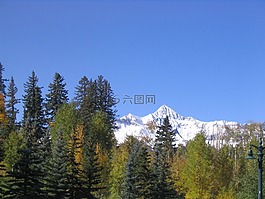 山,山頂,樹