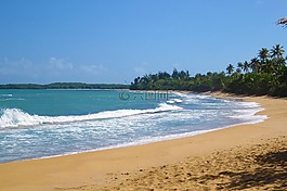 海灘,自然,夏天