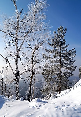 雪,冬天,冷