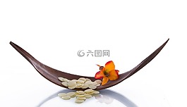 健康,開花,放寬
