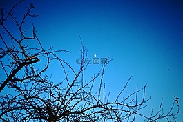 天空,月球,夜晚的天空