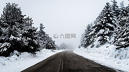 雪,冬天,白