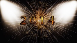 西爾維斯特,新年除夕,一年