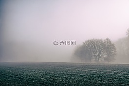 霧,原野,農(nóng)村