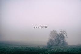 霧,原野,農(nóng)村