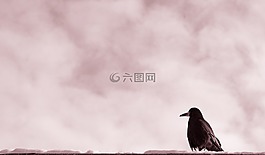云,天空,空氣