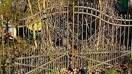 野花園,花園,野生