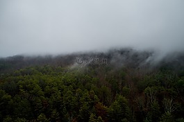 霧,山,伍茲