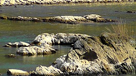 巖,萊茵,河