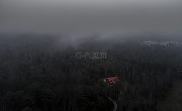 空氣,霧,森林