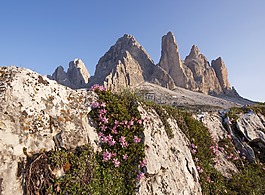 阿爾卑斯山,白云巖,山