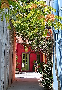 夏季,假日,村