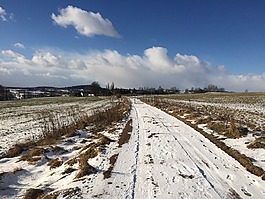 路径,冬天,雪