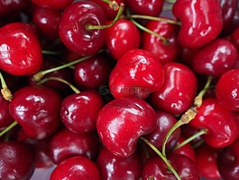 櫻桃,紅色,水果