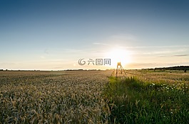 隱藏,立場,原野