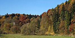 开国元勋,波兰,景观
