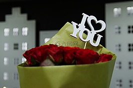 玫瑰,花卉,鮮花