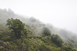 小山,霧,薄霧