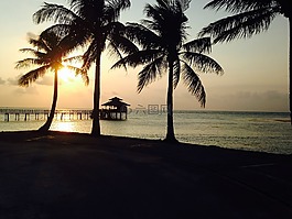 日落,碼頭,海灘