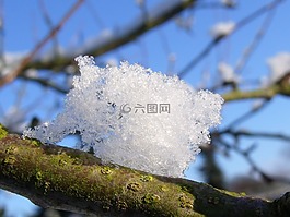 雪,冬天,科