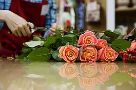 玫瑰,花卉,鮮花