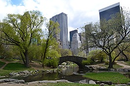 中央公園,紐約,橋