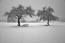寒冬,雪,性質(zhì)