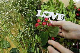 玫瑰,花卉,鮮花