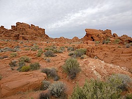 沙漠,石,砂岩