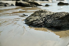 水,砂,海洋